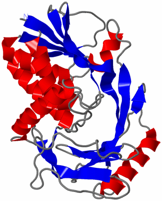 Image Theoretical Model