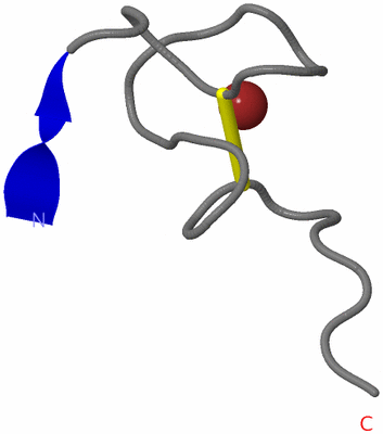 Image NMR Structure - model 1