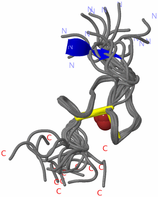 Image NMR Structure - all models