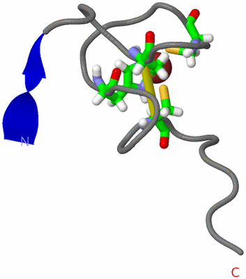 Image NMR Structure - model 1, sites