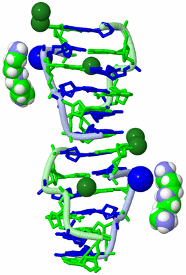 Image Biological Unit 1