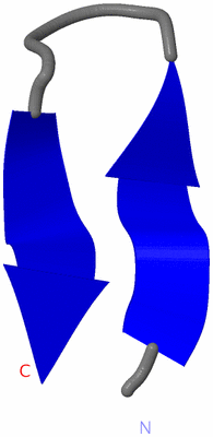 Image NMR Structure - model 1