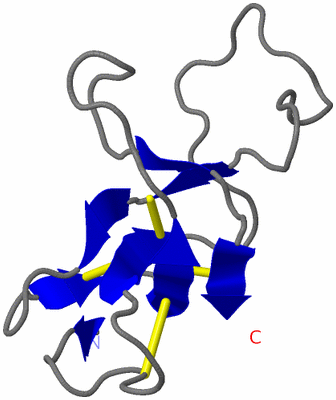 Image NMR Structure - model 1