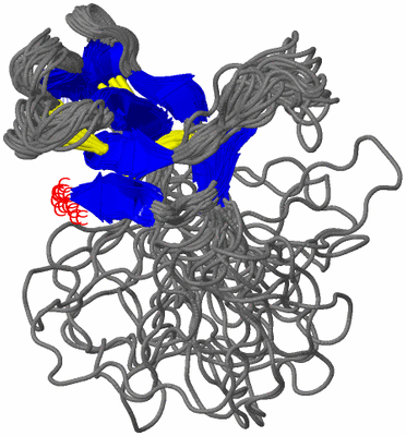 Image NMR Structure - all models