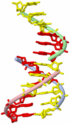 Image Asymmetric Unit