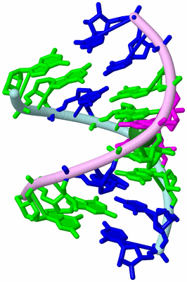 Image Biological Unit 3