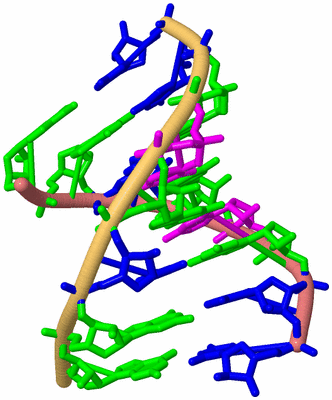 Image Biological Unit 4