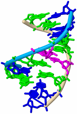 Image Biological Unit 5