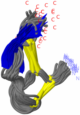 Image NMR Structure - all models