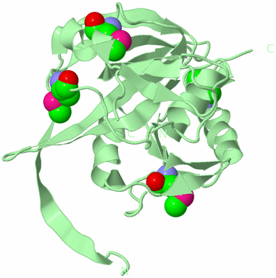 Image Biological Unit 2