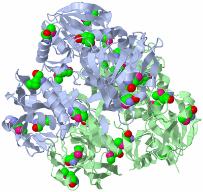 Image Biological Unit 4