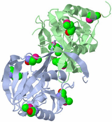 Image Biological Unit 5