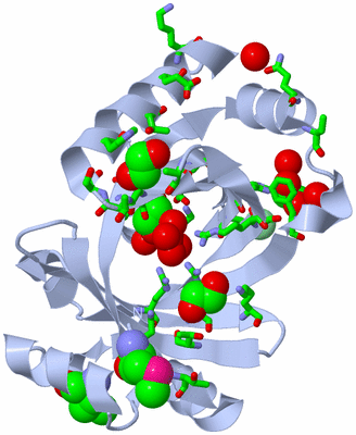 Image Biol. Unit 1 - sites