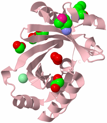 Image Biological Unit 3