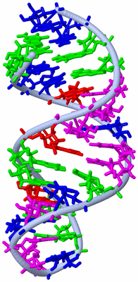 Image NMR Structure - model 1