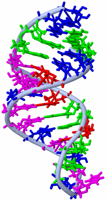 Image NMR Structure - model 1