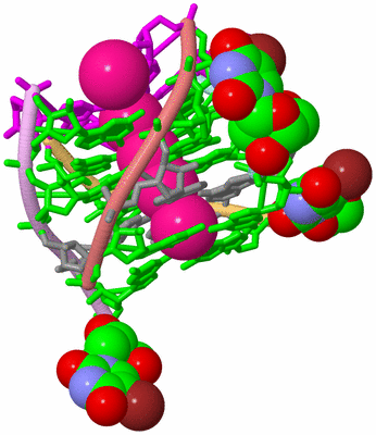 Image Biological Unit 2