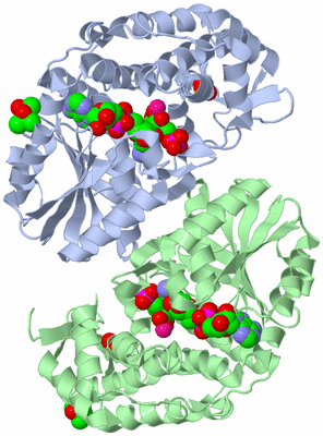 Image Asym./Biol. Unit