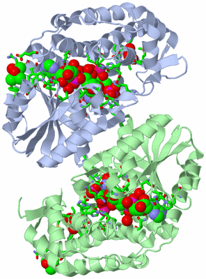 Image Asym./Biol. Unit - sites