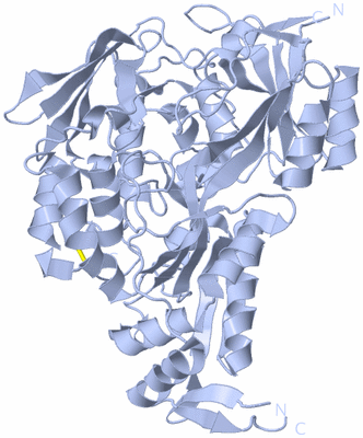 Image Biological Unit 1