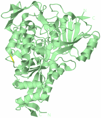 Image Biological Unit 2