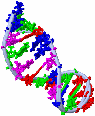 Image NMR Structure - all models