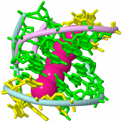 Image Biological Unit 3