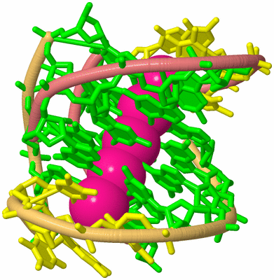 Image Biological Unit 4