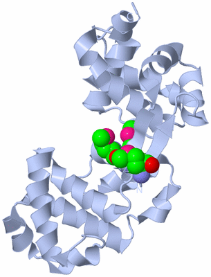 Image Biological Unit 1