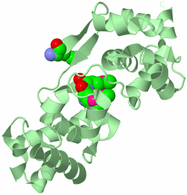 Image Biological Unit 2