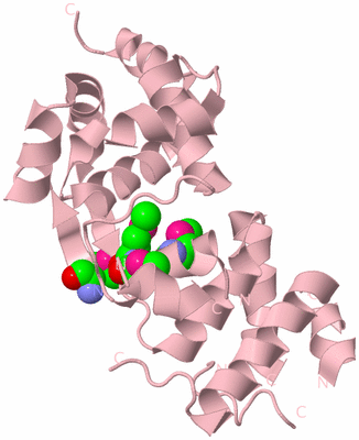 Image Biological Unit 3