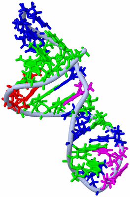 Image NMR Structure - model 1