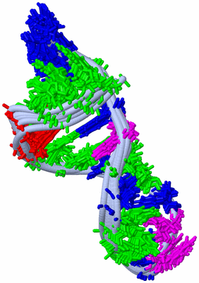 Image NMR Structure - all models