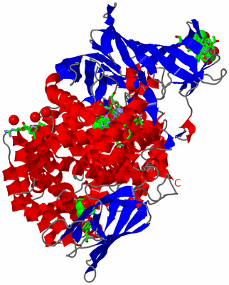 Image Asym./Biol. Unit - sites