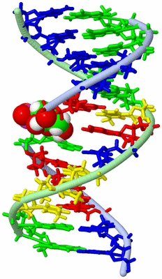 Image NMR Structure - model 1