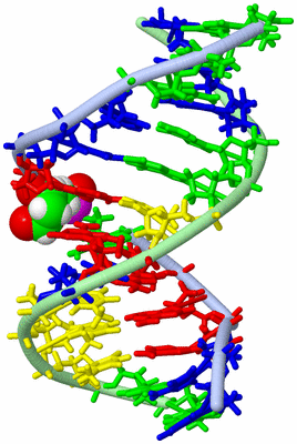 Image NMR Structure - model 1