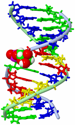 Image NMR Structure - model 1