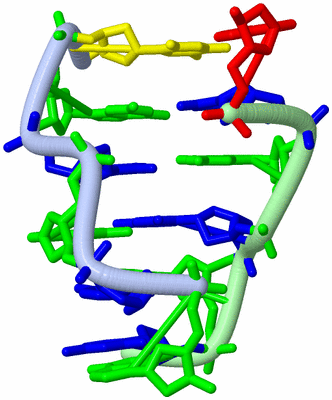 Image Biological Unit 1