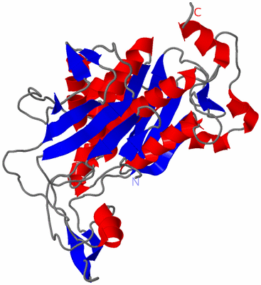 Image Theoretical Model