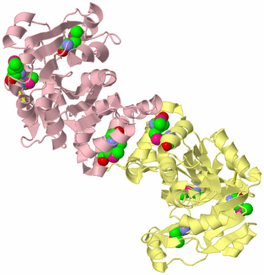 Image Biological Unit 2