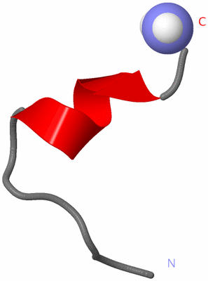 Image NMR Structure - model 1