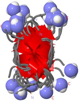 Image NMR Structure - all models