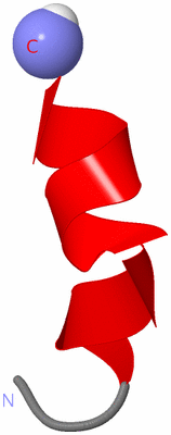 Image NMR Structure - model 1