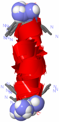 Image NMR Structure - all models