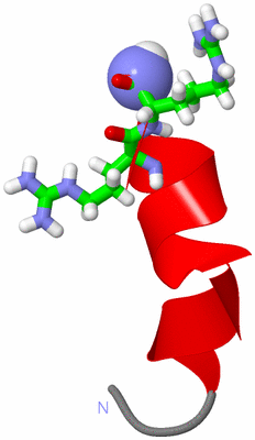 Image NMR Structure - model 1, sites