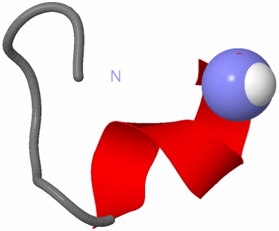 Image NMR Structure - model 1