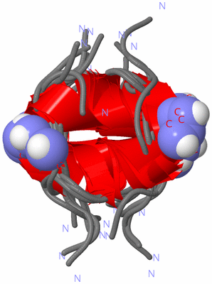 Image NMR Structure - all models