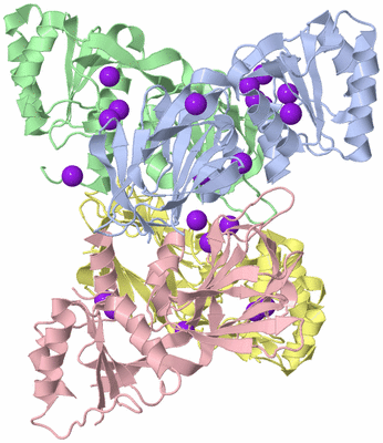 Image Biological Unit 1