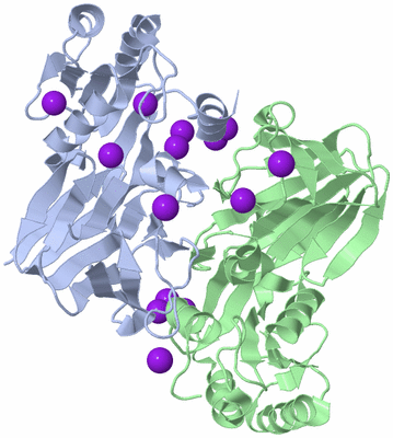 Image Biological Unit 2