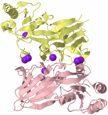 Image Biological Unit 3